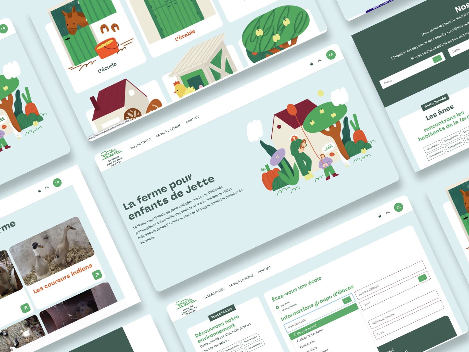 Web development